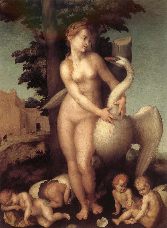 Andrea del Sarto Swan oil painting image
